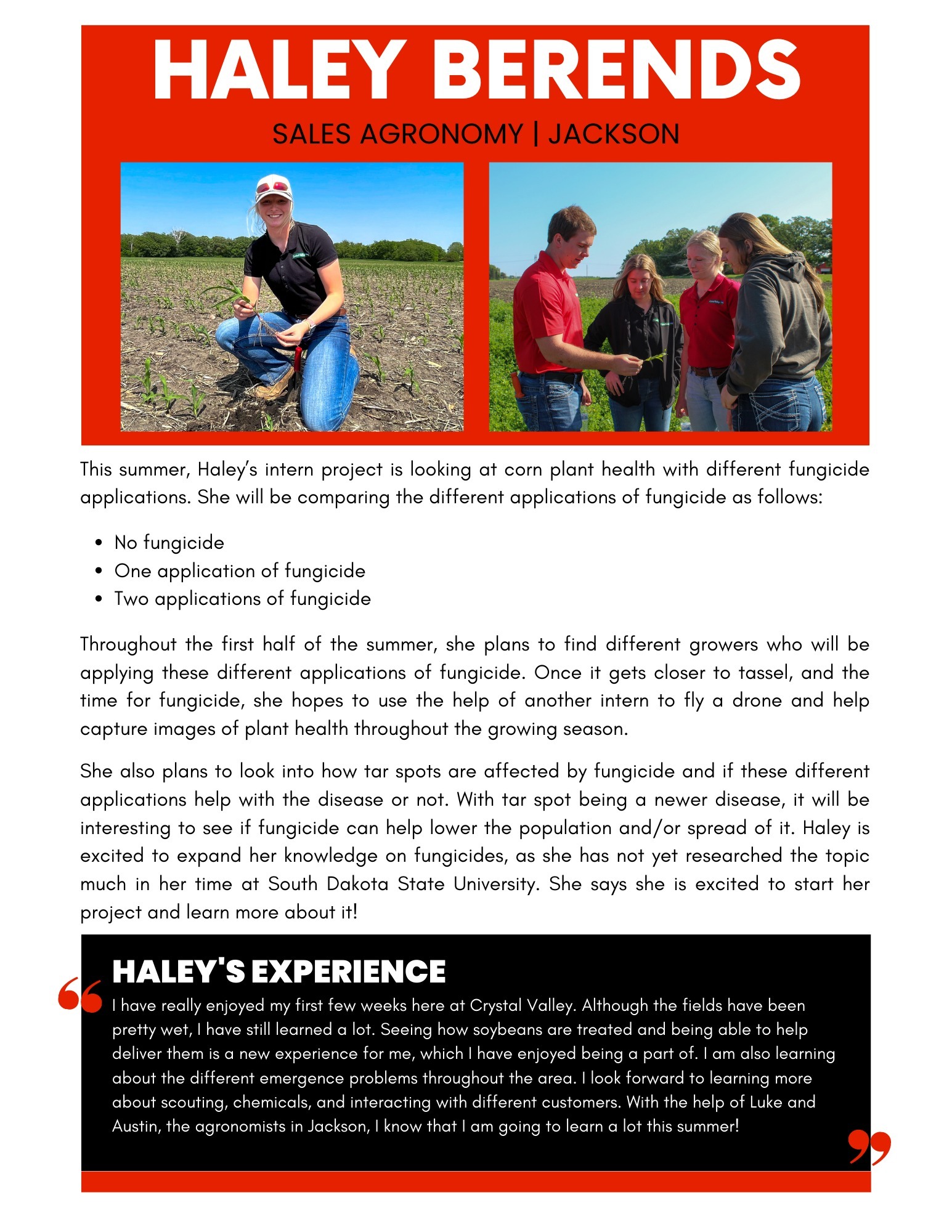 Microsoftteams Image 5