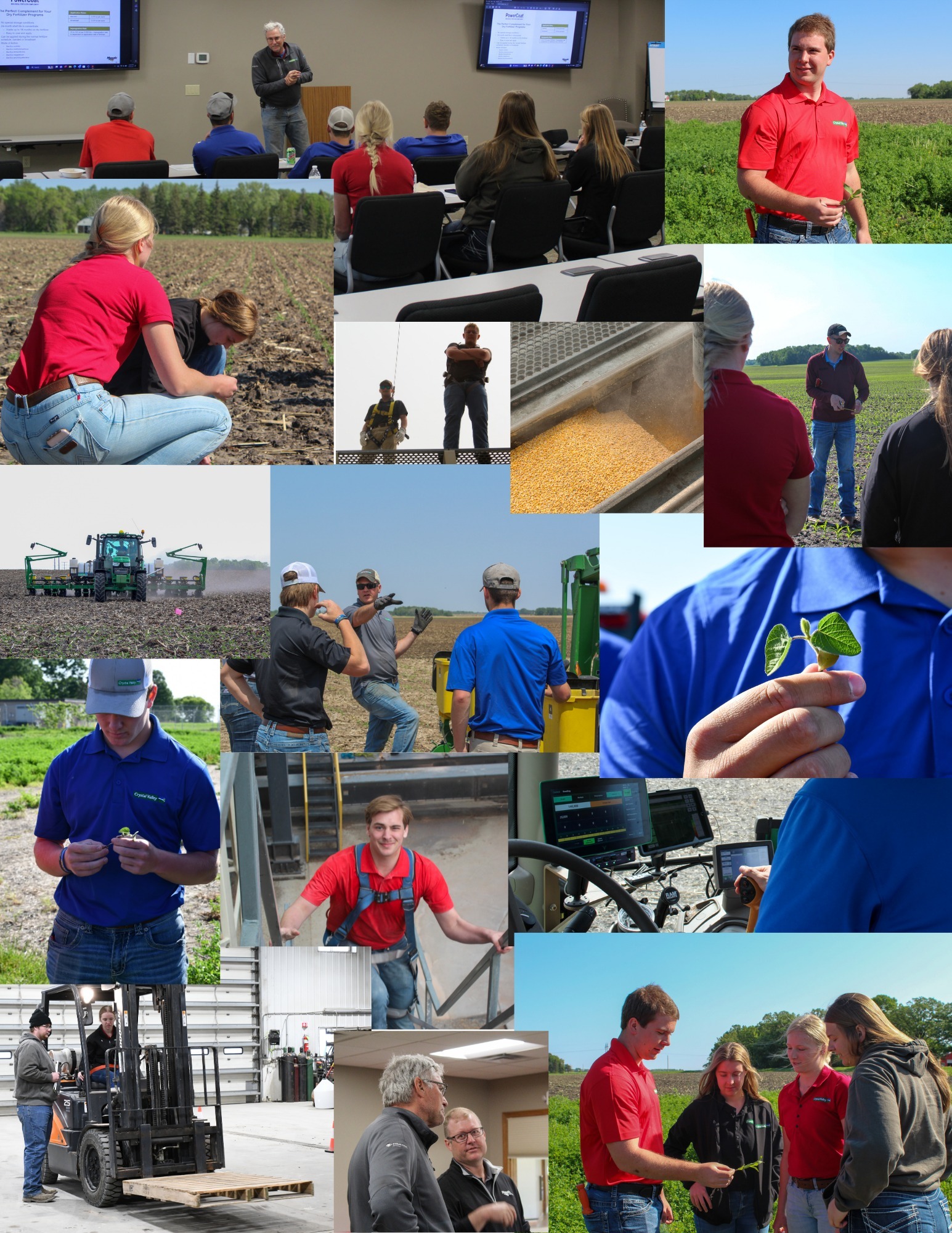 Microsoftteams Image