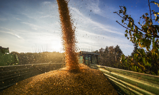 Shutterstock 514388752