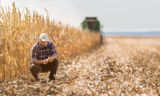 Shutterstock 734053996