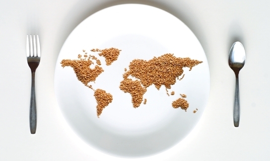 Shutterstock 44069140