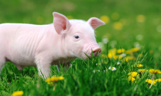 Shutterstock 200218871