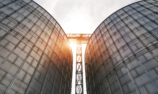 Shutterstock 718747693